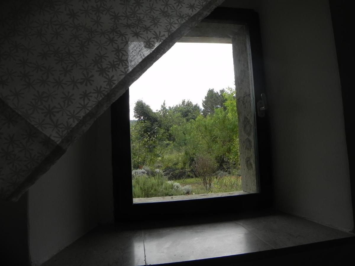 Apartmaji Hedera Komen المظهر الخارجي الصورة