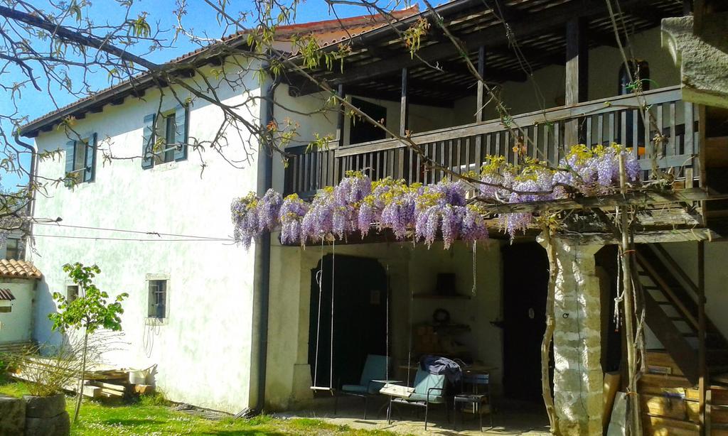 Apartmaji Hedera Komen المظهر الخارجي الصورة