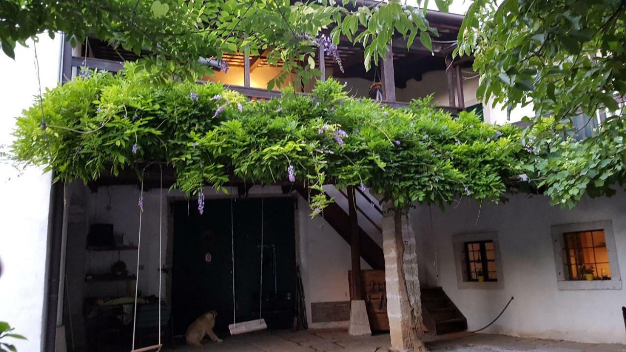 Apartmaji Hedera Komen المظهر الخارجي الصورة